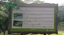 Monitor Lizard Sign in Kent Ridge Park