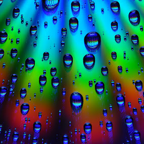  digital rainbow  by Keith Cook - Abstract Fine Art ( abstract, water, compact disk, drops, c.d., rainbow )