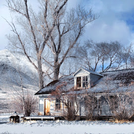 Move in Ready Not by SB Sullivan - Buildings & Architecture Homes ( old house, cabin, hills, home, mountain, sadness, shack, house, yellow, landscape, geology, nature, bleak, reno, derelict, ruins, wild, desert, desolate, ghost town, 5dmii, outback, primeval, deserted, wilderness, red, northern nevada, season, blue, nevada, hopelessness, western, high desert, atmospheric )
