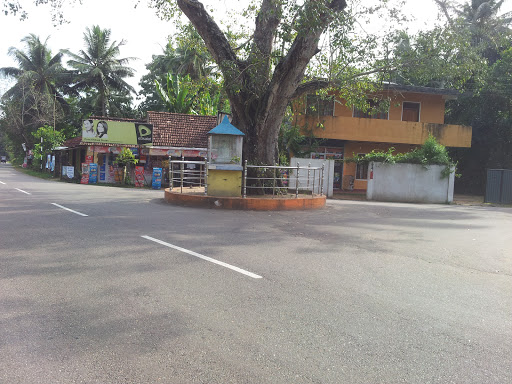 Buddha Statue and Bo Tree Hewaraja Junction 