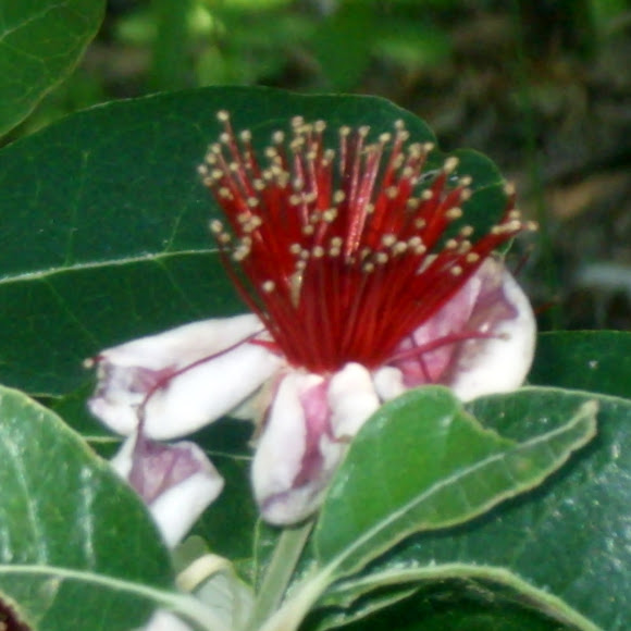 Spotting Image 1