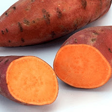 Holiday mashed sweet potato casserole