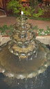 Water Fountain Arafuru