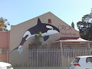 Orca Industries Dive Shop