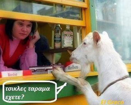 τσικλες ταραμα εχετε?