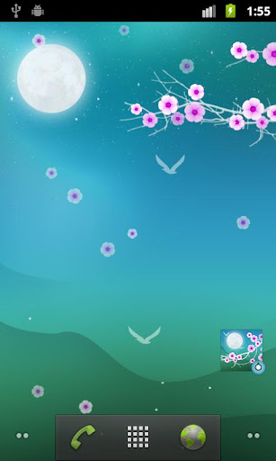 Blooming Night Pro Live WP