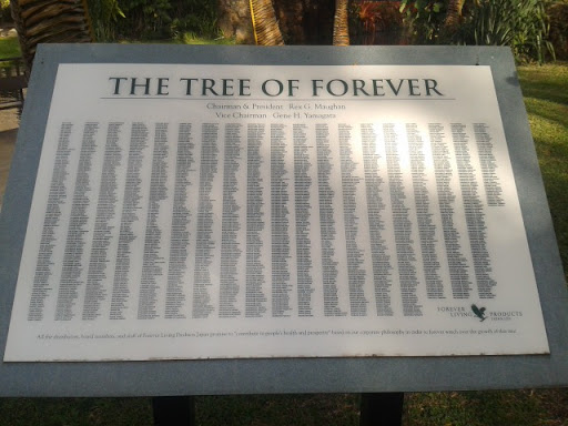 The Tree of Forever