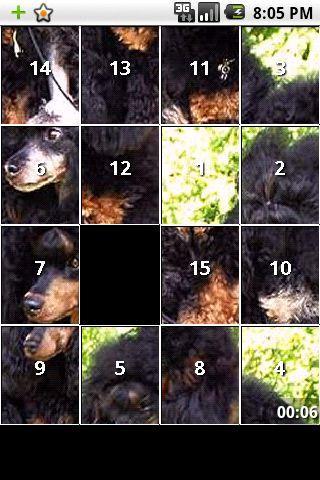 【免費娛樂App】Poodle dog and puppy puzzles-APP點子