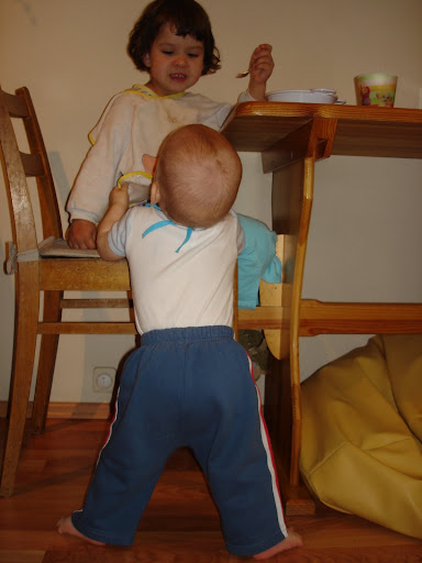 http://lh4.ggpht.com/ABUSMayer/SEluV8XHXtI/AAAAAAAAD2Y/G6rhd6IqqRg/DSC06703.jpg?imgmax=512