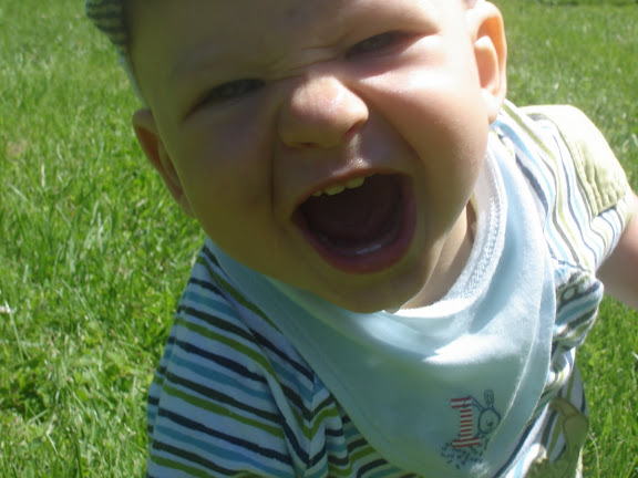 http://lh4.ggpht.com/ABUSMayer/SIy7GDujEXI/AAAAAAAAEm8/qNkgfWC3PAI/DSC08706.JPG?imgmax=576