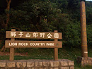Lion Rock Country Park