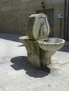 Frog  Fountain