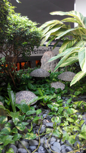 Changi Airport Terminal 1 Stone Mushrooms