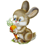 Fruits berry vegetables Learn Apk