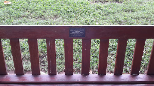 Derek Alfred Memorial Bench