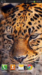 How to get Feline Live Wallpaper HD patch 1.1 apk for bluestacks