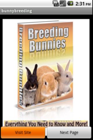 Rabbits Breeding