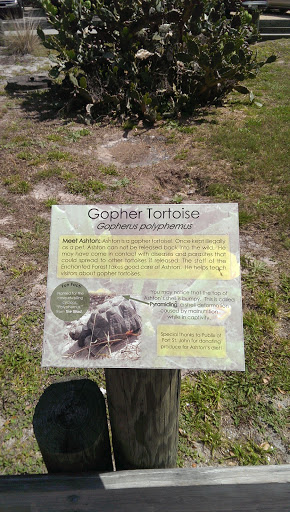 Gopher Tortoise Information Plaque