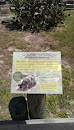 Gopher Tortoise Information Plaque