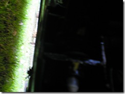 Proton Damage - After Harrison 022