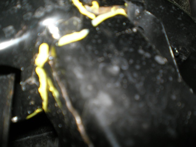 [Proton Damage - After Harrison 051[2].jpg]