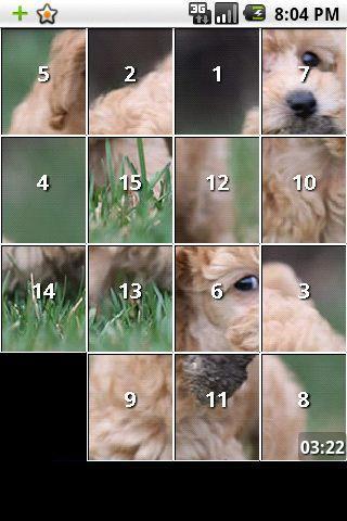 Poodle dog and puppy puzzles