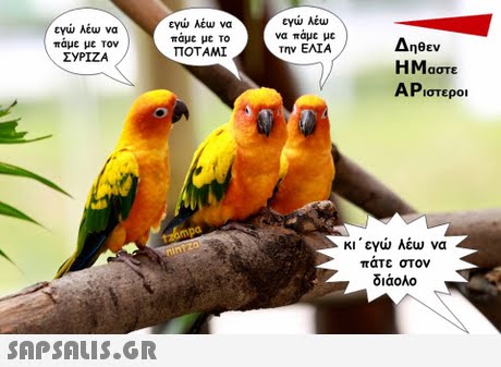 εγώ λέω να παμε με τον ΣΥΡΙΖΑ ρώ λέω να παμε με το ΠΟΤΑΜΙ εγώ λέω να παμε με την ΕΛΙΑ Δηθεν ΗΜαστε ΑΡιστεροι κι  εγώ λέω να πάτε στον διάολο 