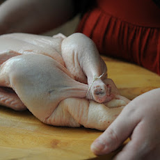 Ginger Duck