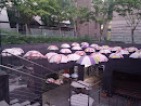 Umbrella Art Gallery