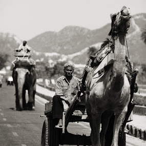  by Tanya Malott - Travel People
