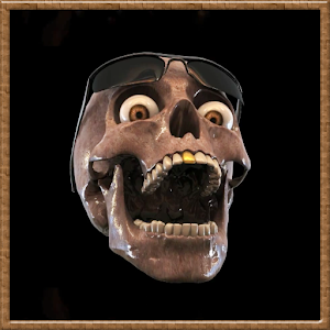 Exclusive Skull HD.apk 1.00