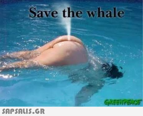 Save the whale 