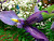User profile picture thumbnail