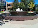 Microsoft Building 16 Fountain