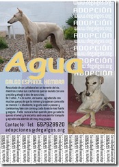 cartelAgua