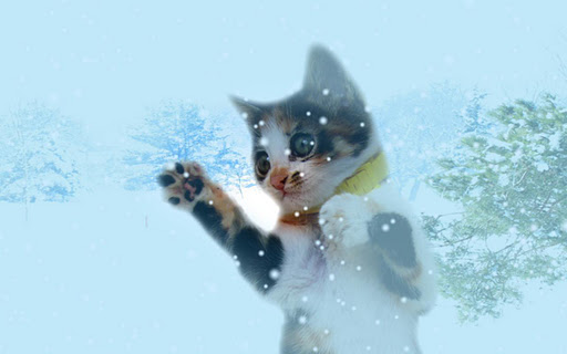 Snowing Kitten Wallpaper