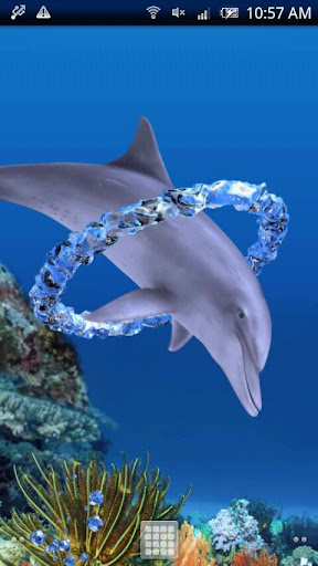 Dolphin Ring