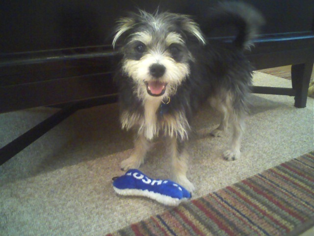 [Princeton Plays 1[3].jpg]