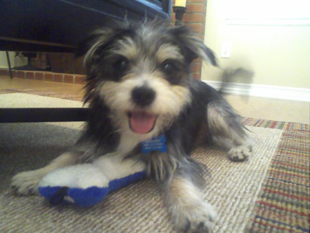 [Princeton Plays 3[3].jpg]