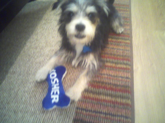 [Princeton Plays 7[3].jpg]