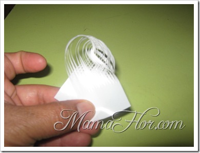 IMG_3253 IMG_3253