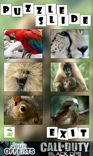 Puzzle Slide : Animal