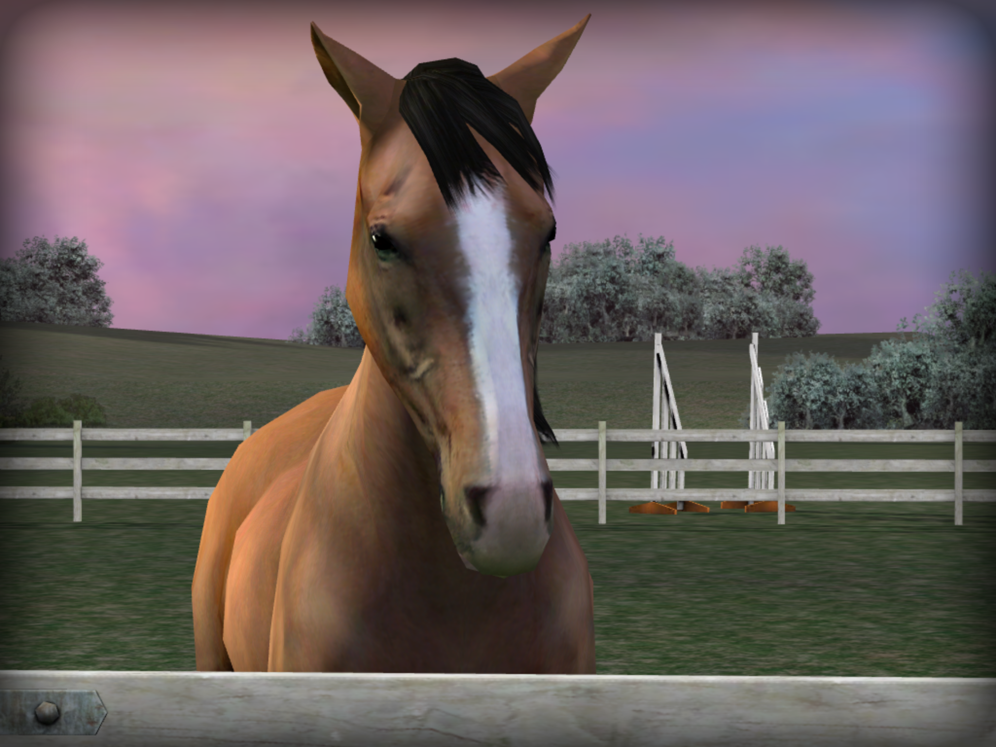 Android application My Horse screenshort