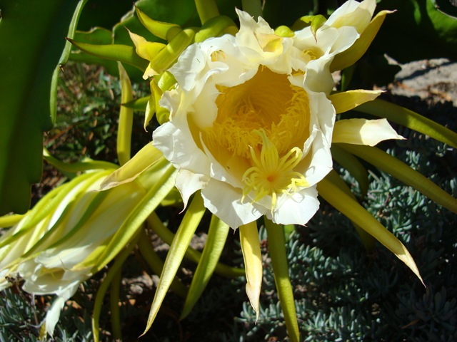 [DSC013523.jpg]