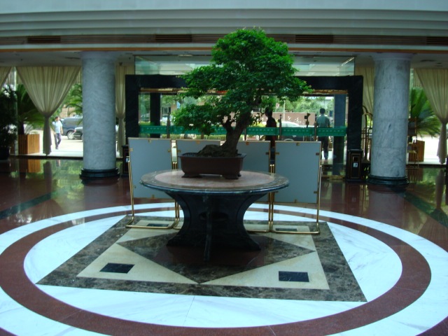 [DSC011093.jpg]