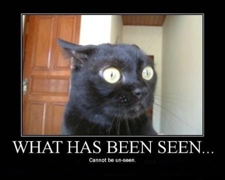 What+has+been+seen.jpg