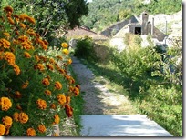 country lane_Sipan