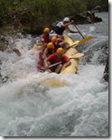 cetina