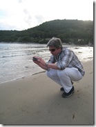 MLJET 666