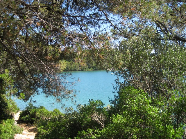 [MLJET 266[3].jpg]